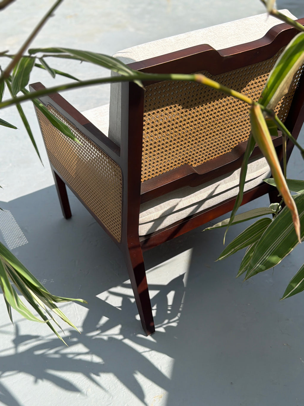 Oakaroo Walnut Cane Lounge